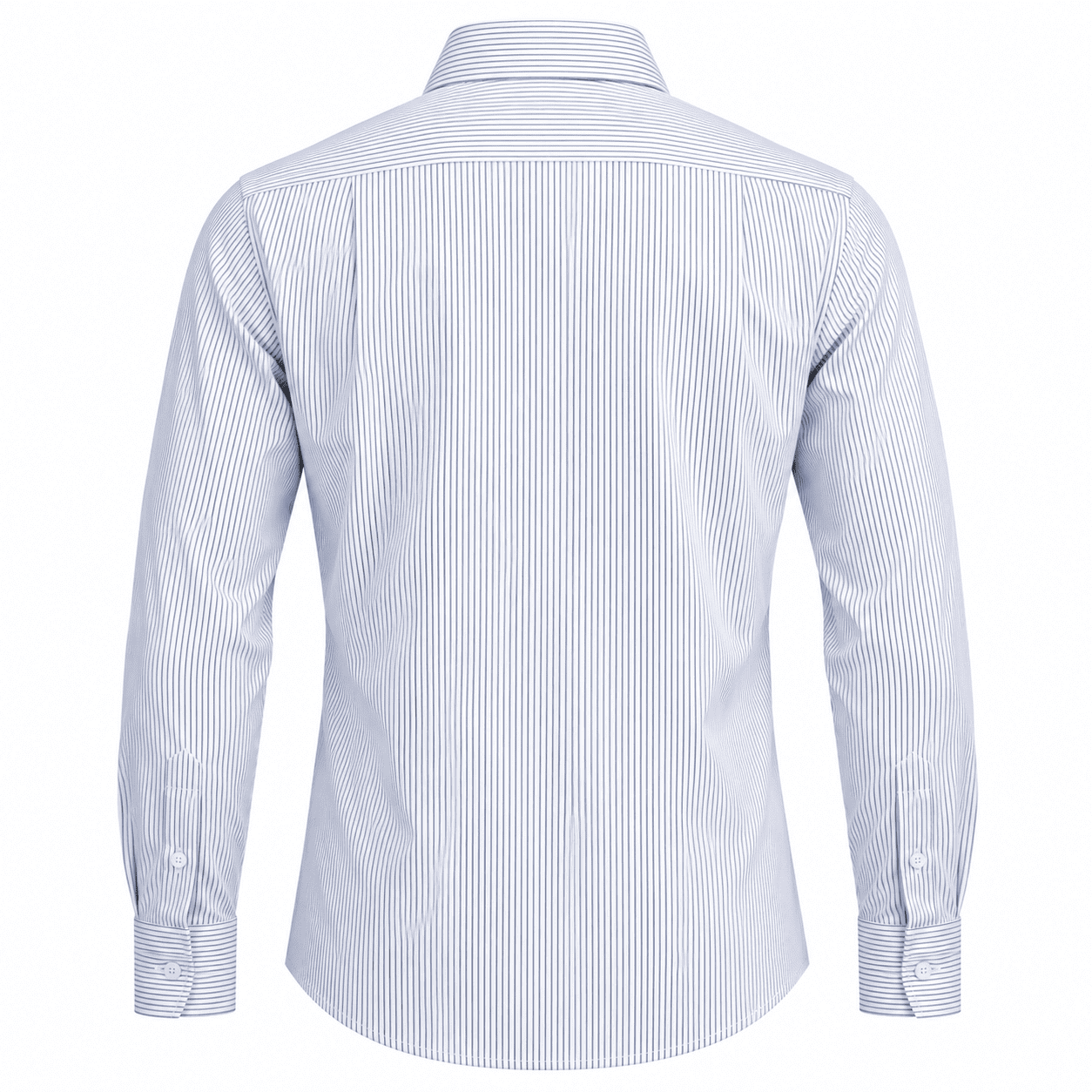 2444-BACK